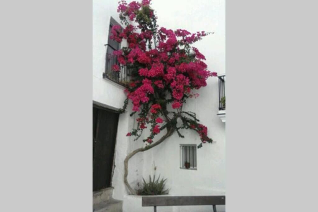 Albayalde Cielo Y Mar Apartamento Vejer de la Frontera Exterior foto