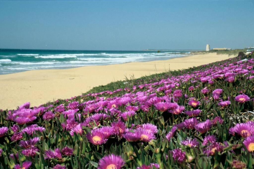 Albayalde Cielo Y Mar Apartamento Vejer de la Frontera Exterior foto